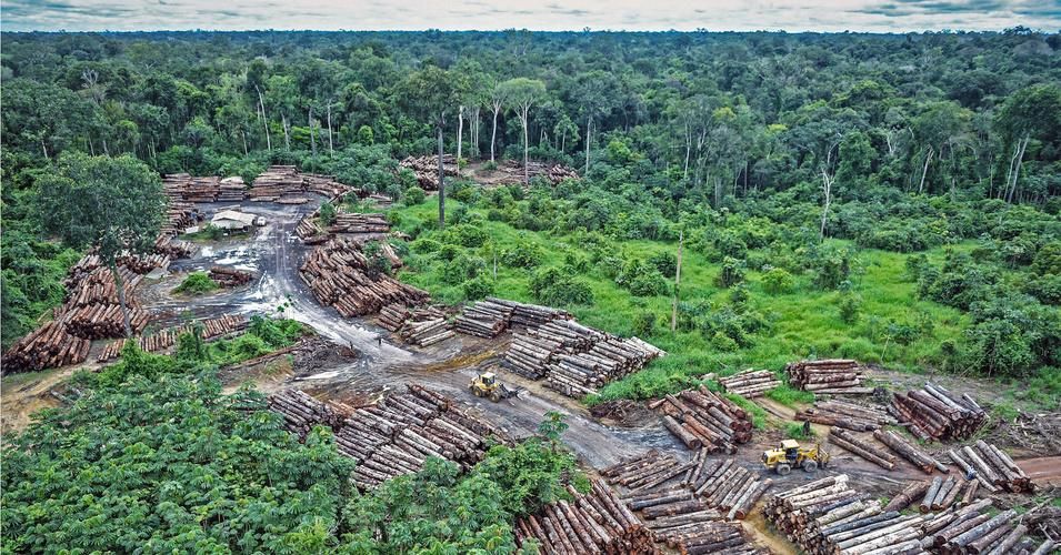 'Shameful and Outrageous': New Satellite Data Reveals Brazilian Amazon ...