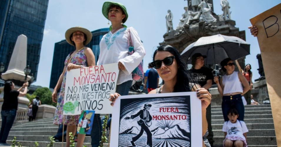 Protesters in Mexico City on May 19, 2018 call for Monsanto to get out of Mexican agriculture. (Photo: Jesus Alvarado/dpa via Getty Images)