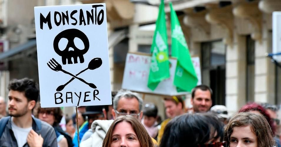 Demonstrators walk with placards during a march for agroecology and civil resistance against U.S. seed and pesticide maker Monsanto on May 20, 2017 in Bordeaux, southwestern France. 