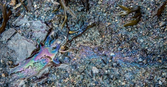 Diesel leaches into tidal pools after a spill in the Great Bear Rainforest last month.