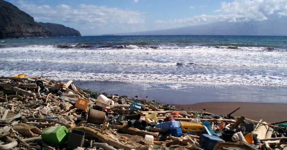 Humanity's Destruction of Oceans Nearly Doubled Over a Decade, Scientists Warn, and Could Double