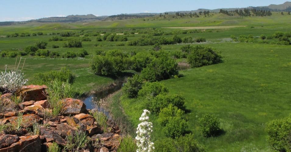 Grassroots resistance and the coal industry crash saved this southeastern Montana landscape from being carved up by Arch Coal's proposed mine and coal-hauling railway. (Photo: Northern Plains Resource Council)