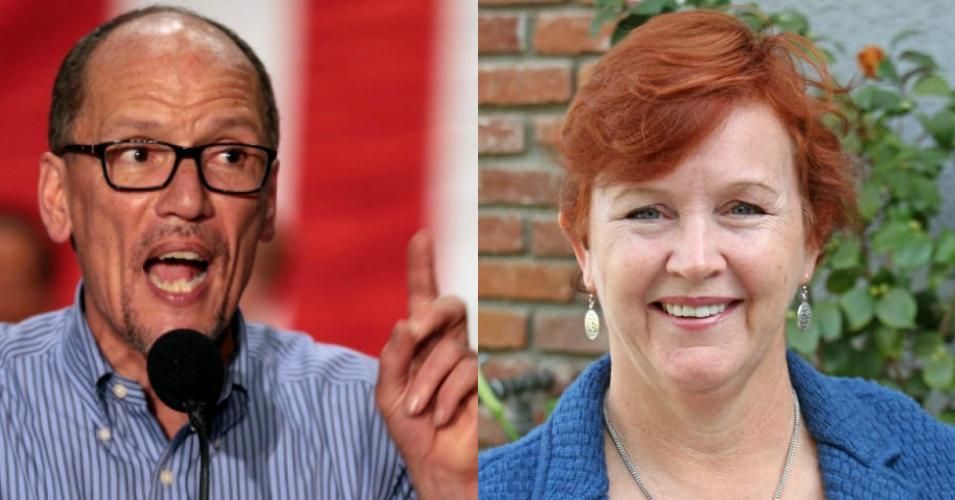 Journalist Emily Atkin, in her climate newsletter HEATED, dubbed newly elected DNC member RL Miller "Tom Perez's worst nightmare" for the longtime activist's willingness to challenge the body's current chair. 