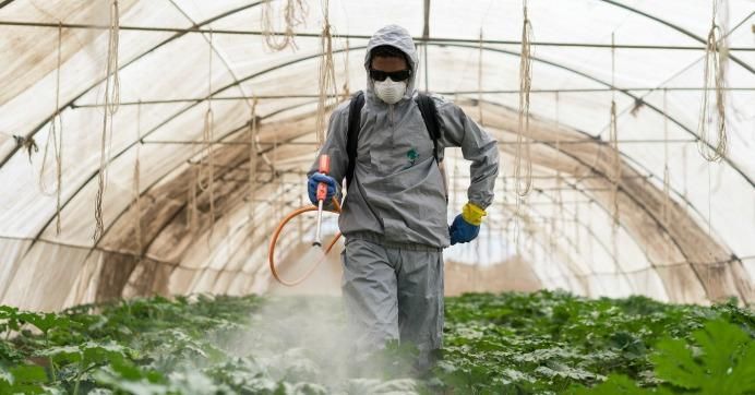 Pesticides have been liked to "cancer, Alzheimer's and Parkinson's diseases, hormone disruption, developmental disorders, and sterility," United Nations study notes, as well as an estimated 200,000 deaths a year from acute poisoning. (Photo: USAID Egypt/cc/flickr)