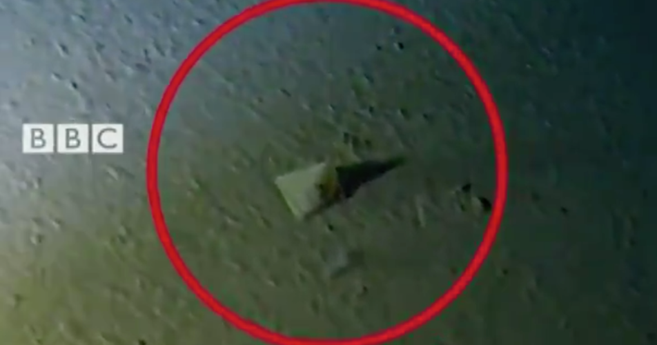 A plastic bag found on the bottom of the Mariana Trench. 