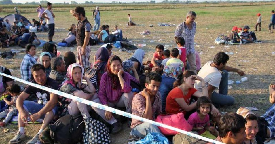 Refugees sit in the sun at a collection point in Röszke near the Hungarian-Serbian border while waiting to be transported to a registration center. (Photo: Z.Gal/UNHCR)