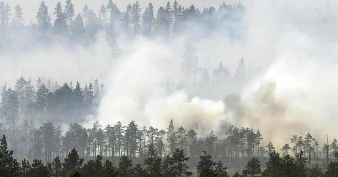 Firefighters battle a wildfire in Sweden. 