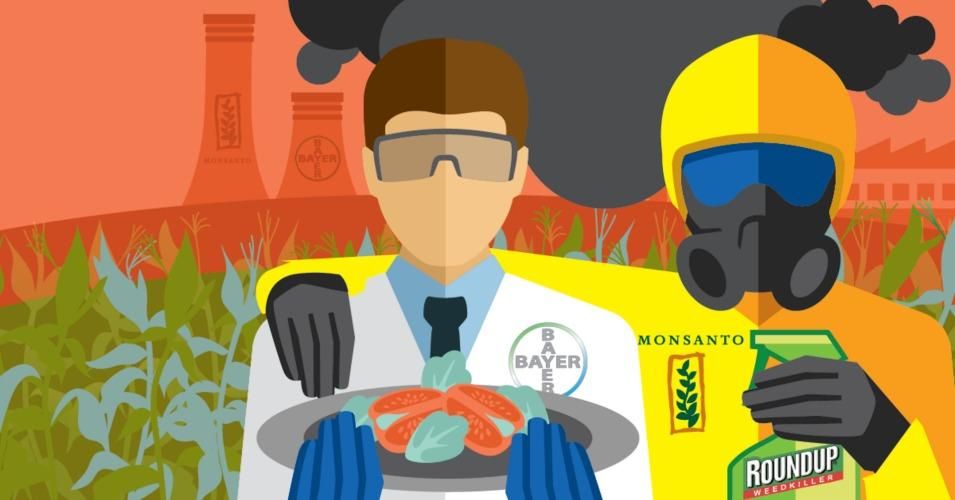 Monsanto Bayer merger Sum of Us