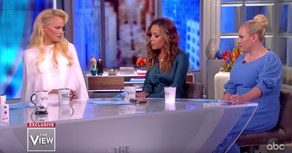 Actress Pamela Anderson and nepotism case Meghan McCain stare daggers at one another as ﻿The View﻿'s Sunny Hostin asks a question.