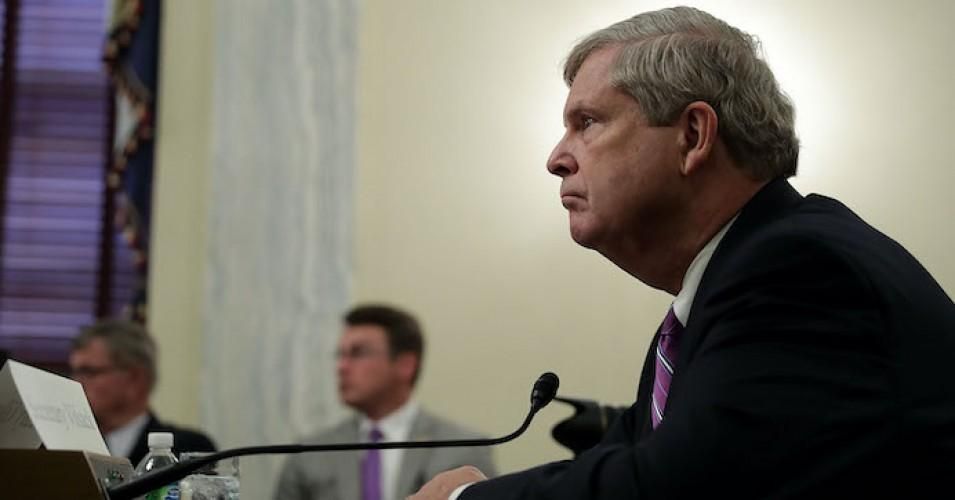 Then-U.S. Agriculture Secretary Tom Vilsack testifies during a hearing before the Senate Agriculture, Nutrition, and Forestry Committee September 21, 2016 on Capitol Hill in Washington, D.C. 