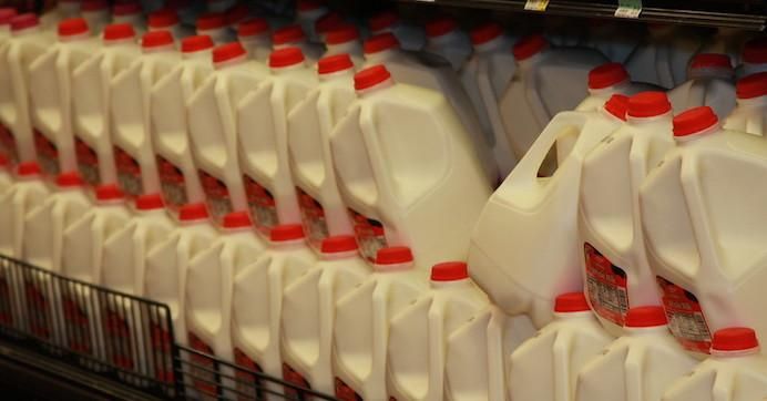 gallons of milk in a dairy case