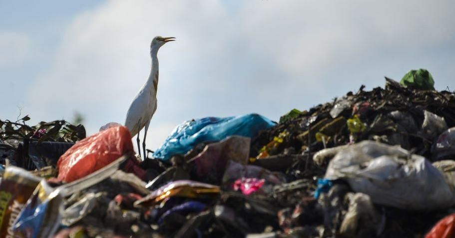 "Plastics don’t decompose like organic substances," write the authors, "Instead, they break down into smaller and smaller pieces, much of which ends up in oceans, where it is consumed by marine life and birds. (Photo: Chaideer Mahyuddin/AFP via Getty Images)
