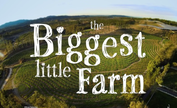 "The Biggest Little Farm” will likely leave you inspired, hopeful even, and you'll want all your friends to see it. (Photo: Screenshot) 