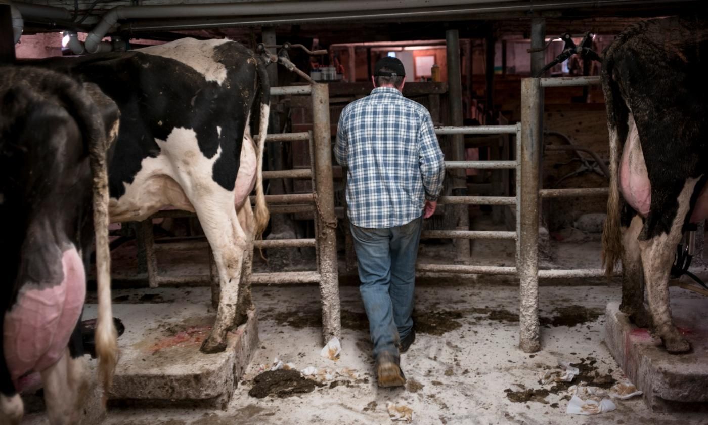 Matt Gartman walks through the milking parlor at his farm in Sheboygan, Wisconsin. (Photo: Darren Hauck/Getty Images.)