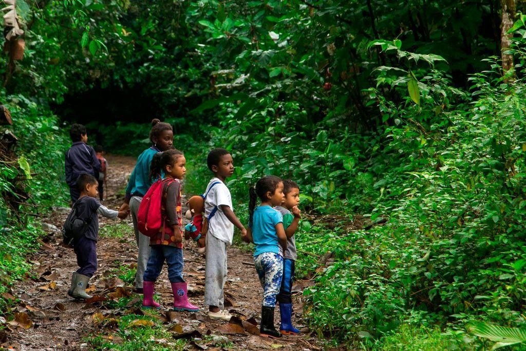 Students of the Pambilino Forest-School look at plants as they walk to school in San Jose de Mashpi, Ecuador on October 31, 2019. - Children learn the importance of nature at a forest-school located in a biosphere reserve in Ecuador. The area is a unique territory in which the social and economic development of communities tends to an harmonious relationship with the natural environment. (Photo by Cristina Vega Rhor / AFP) (Photo by CRISTINA VEGA RHOR/AFP via Getty Images)