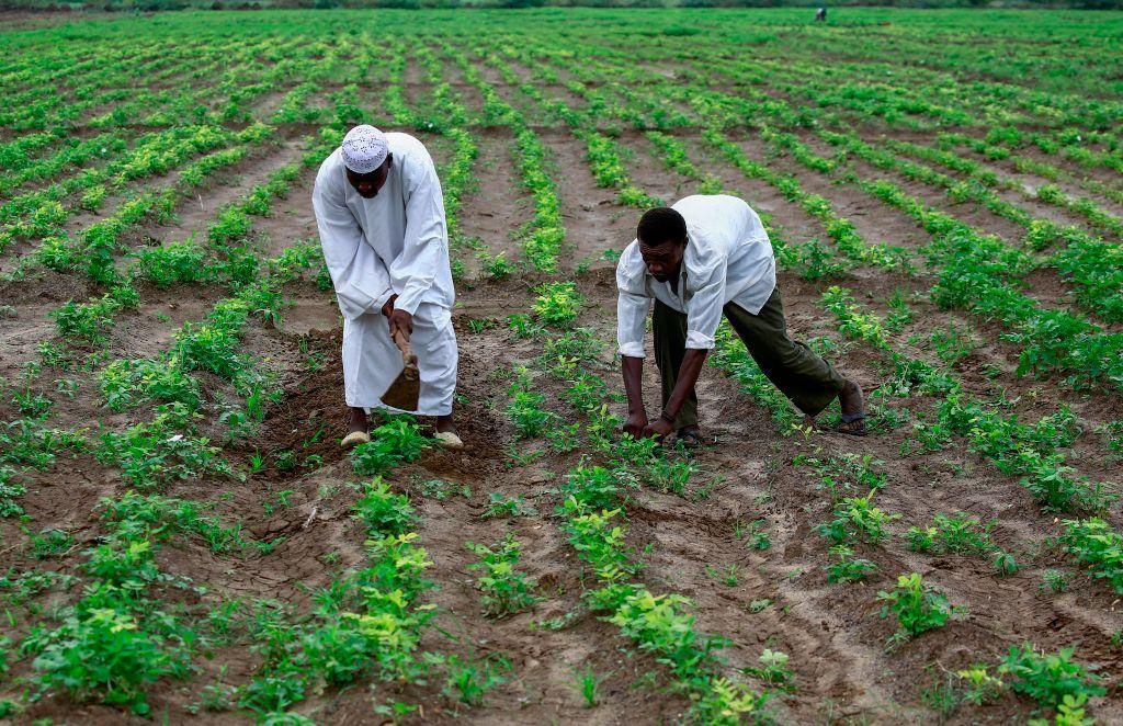 Poverty remains high, and severe food insecurity has increased 31% across AGRA&rsquo;s 13 countries, as measured by the United Nations. (Photo by ASHRAF SHAZLY/AFP via Getty Images)