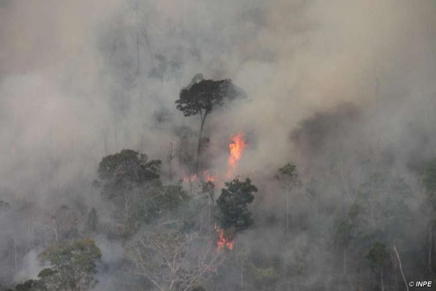 Fires are destroying pre-Amazon forest and threatening to wipe out uncontacted Indians for the second time in less than a year. 