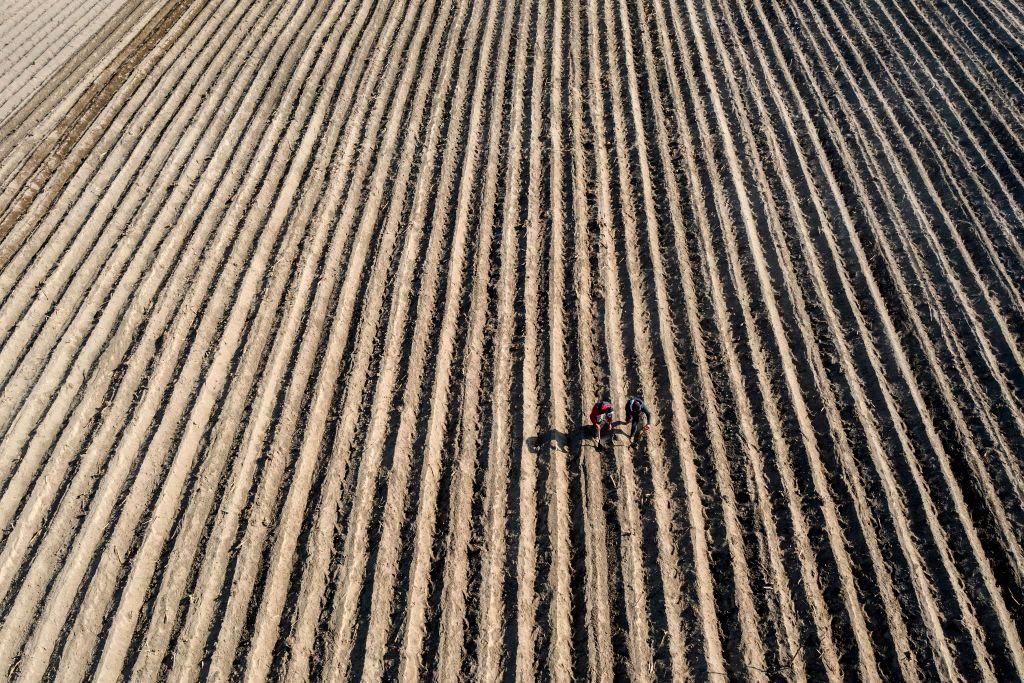 Aerial view of farmers working in a corn field in San Pedro Nexapa, Mexico state, on April 3, 2020. (Photo by PEDRO PARDO/AFP via Getty Images)
