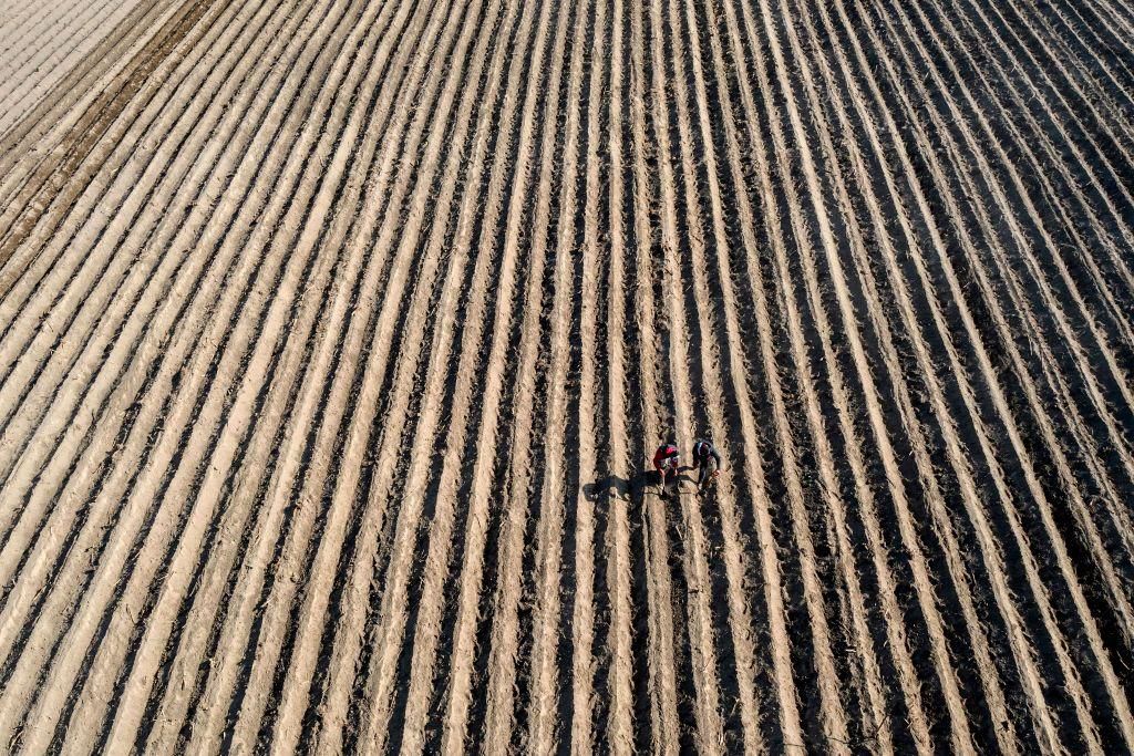 Aerial view of farmers working in a corn field in San Pedro Nexapa, Mexico state, on April 3, 2020. (Photo by PEDRO PARDO/AFP via Getty Images)
