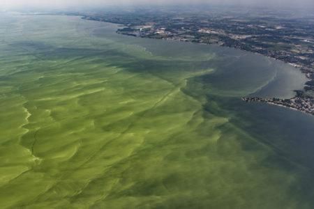 Earth Day’s laws have systematically failed to guard against mass species die-offs, the climate crisis, deadly air pollution, the corporatization of freshwater, and the largest loss of biodiversity in human history. (Photo: Bird’s eye view of wide-spread contamination in Lake Erie)