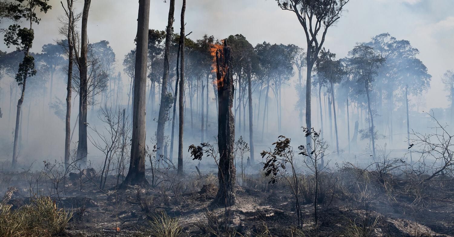 Fire burns in the city of Novo Progresso, Brazil, in August 2020. (Photo: Lucas Landau/Greenpeace)