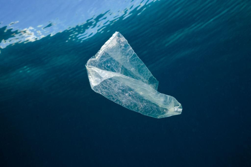 Plastic packaging materials like the ones being used by Amazon often end up as litter, in landfills, or worse, in oceans, contributing to pollution. (Photo by Reinhard Dirscherl\ullstein bild via Getty Images)