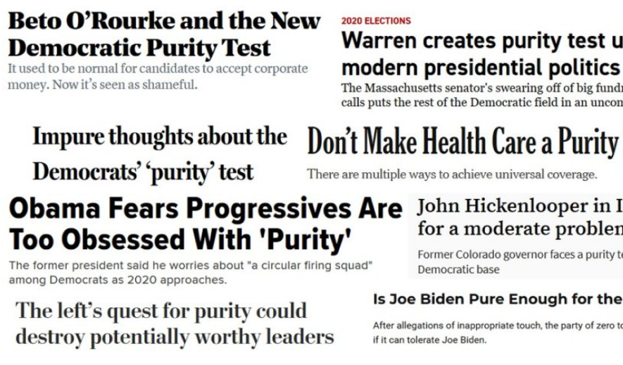It is often made explicit that “purity test” is merely code for the Democratic base wanting more leftist policies, and being disgruntled with politicians who block them. (Photo: Screenshot) 