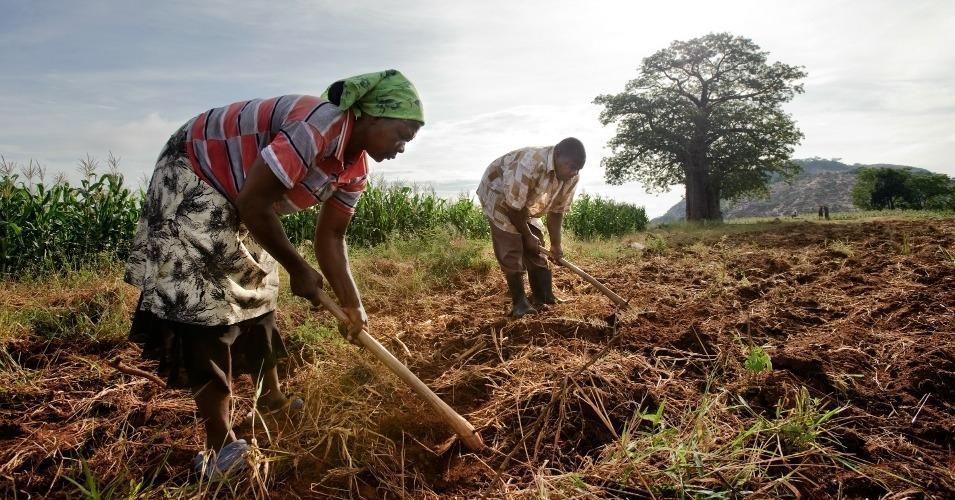 Farmers in Zimbabwe prepare fields to grow corn. "A hotter world is a more unequal world, with the north benefiting and tropical economies declining," the Nature study authors say. "A cooler world leads to more equitable global growth, offering regions like Africa the chance to 'catch up'." (Photo: David White, Oxfam)