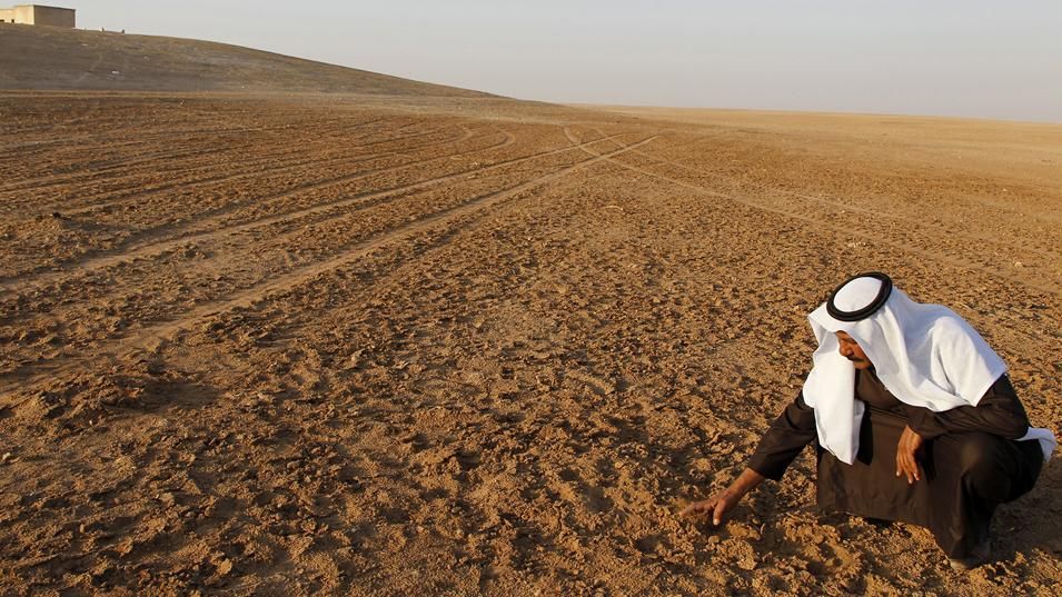 A man inspects parched fields in Raqqa province, Syria, in 2010.
