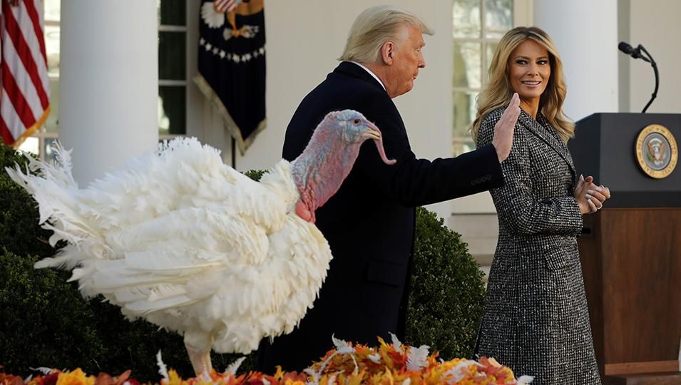 U.S. President Donald Trump (L) and first lady Melania Trump leave the Rose Garden after 'pardoning' the national Thanksgiving Turkey at the White House November 24, 2020 in Washington, DC