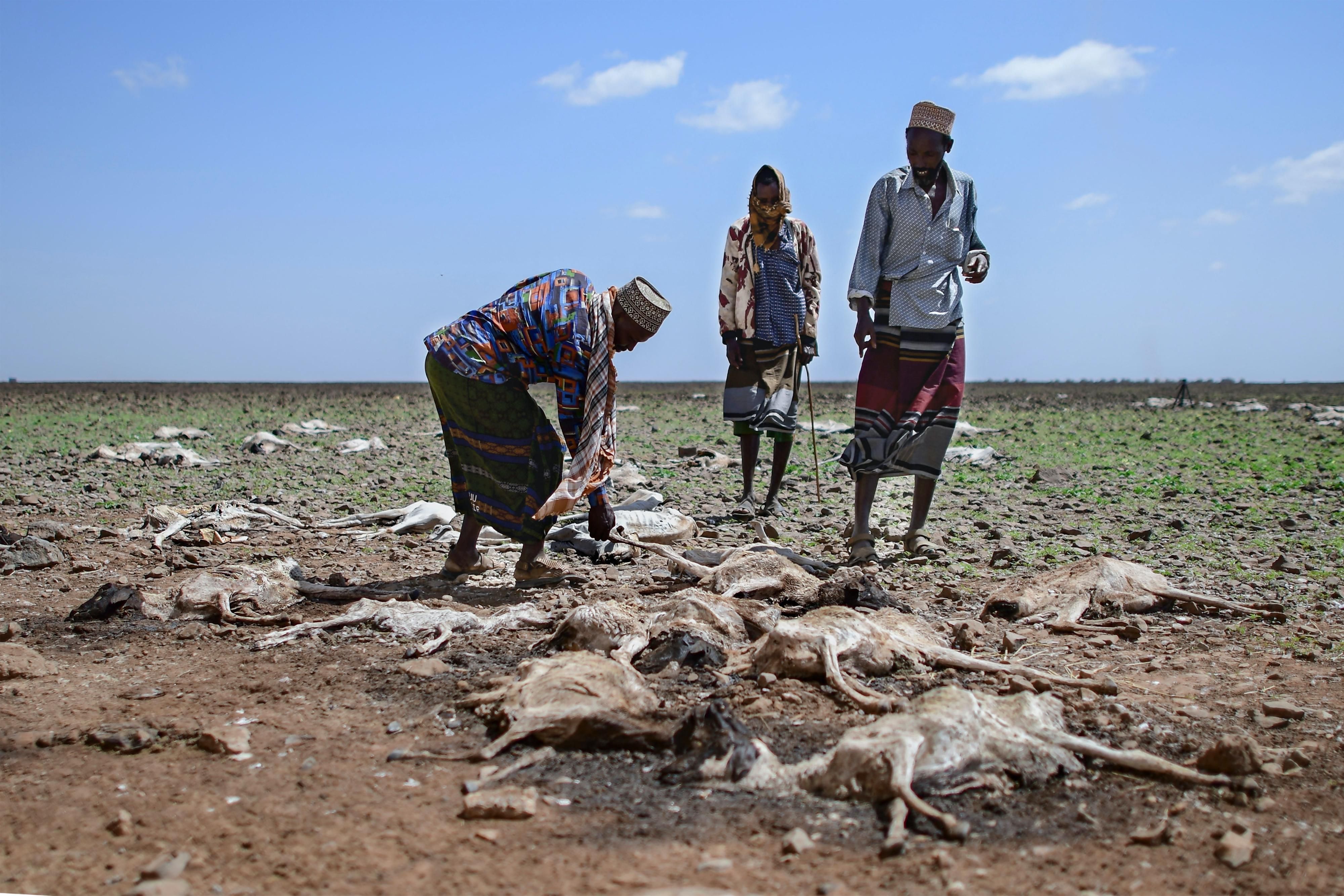 Africa Drought 