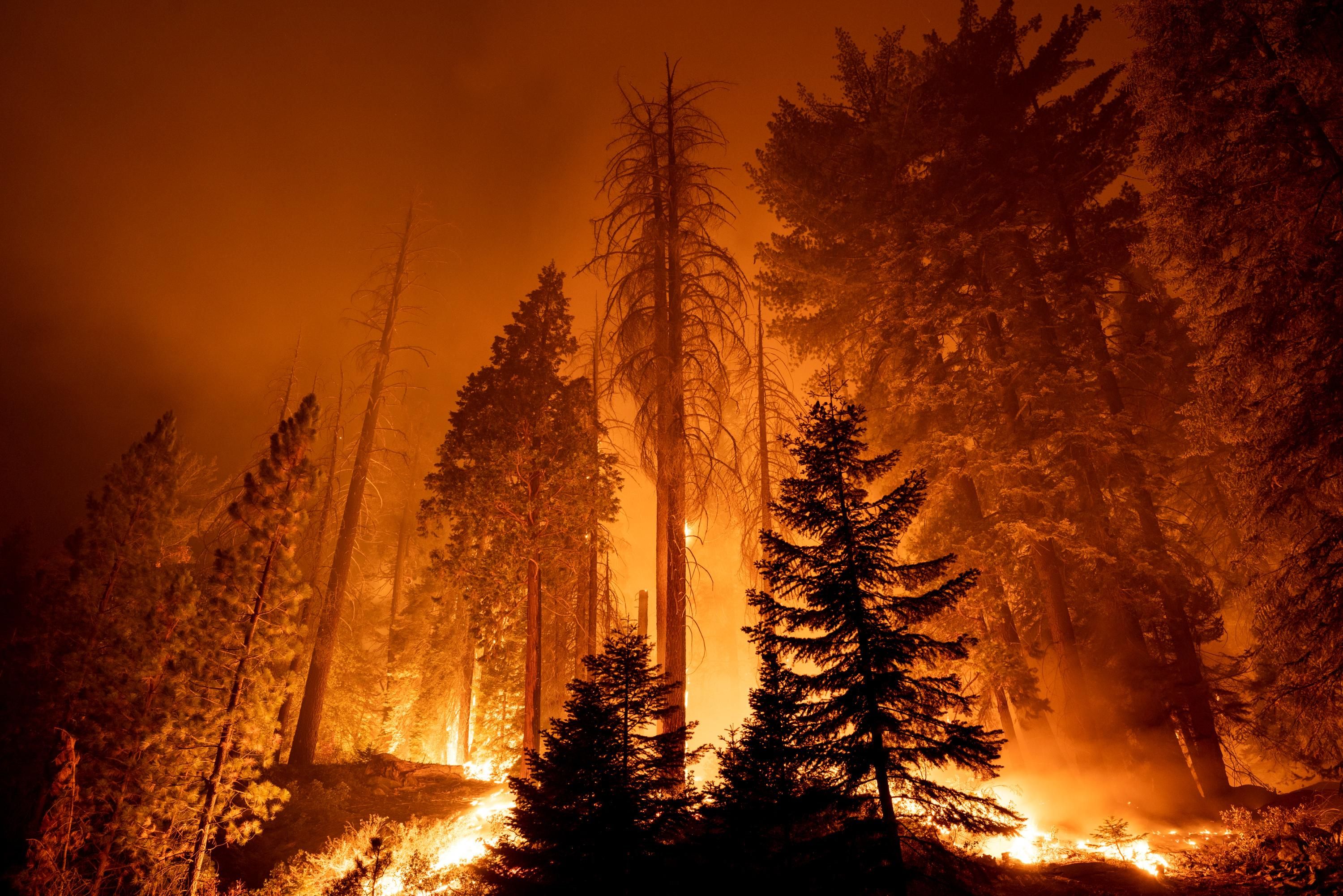 A wildfire burns in California