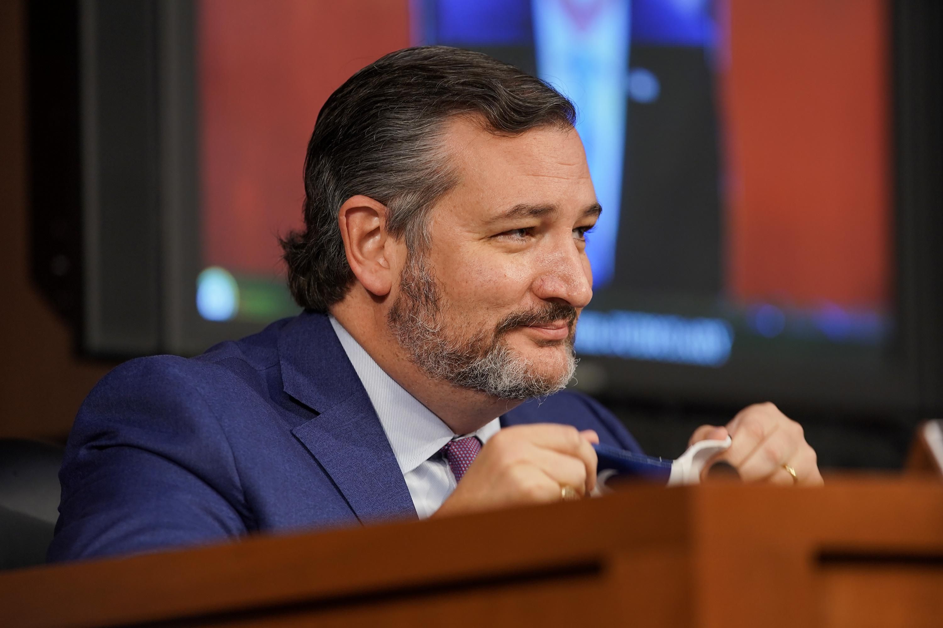 Sen. Ted Cruz appears at a hearing
