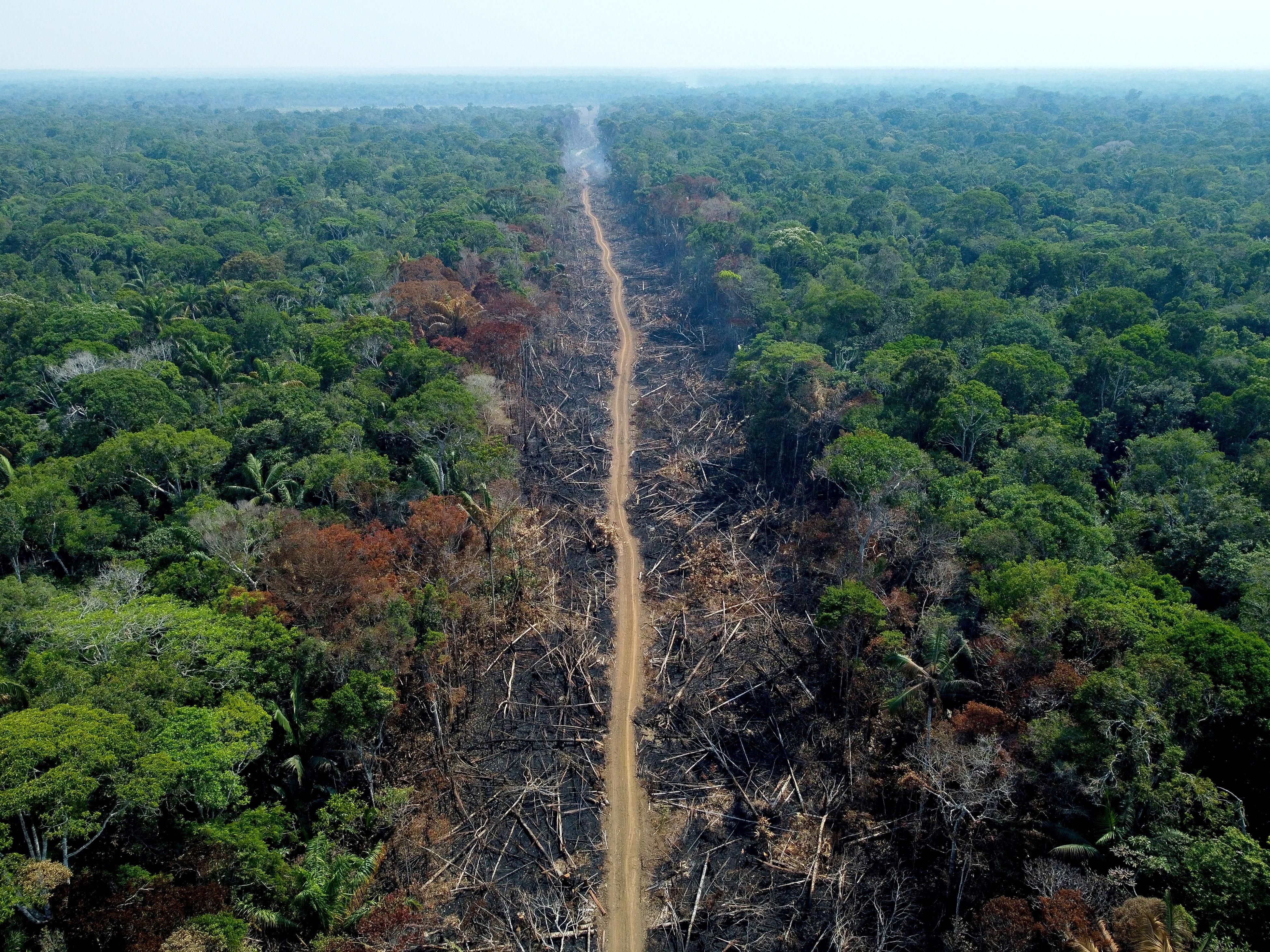 A deforested and burnt area is seen on a stretch of the BR-230 Transamazonian Highway in Humaitá, Amazonas State, Brazil, on September 16, 2022.