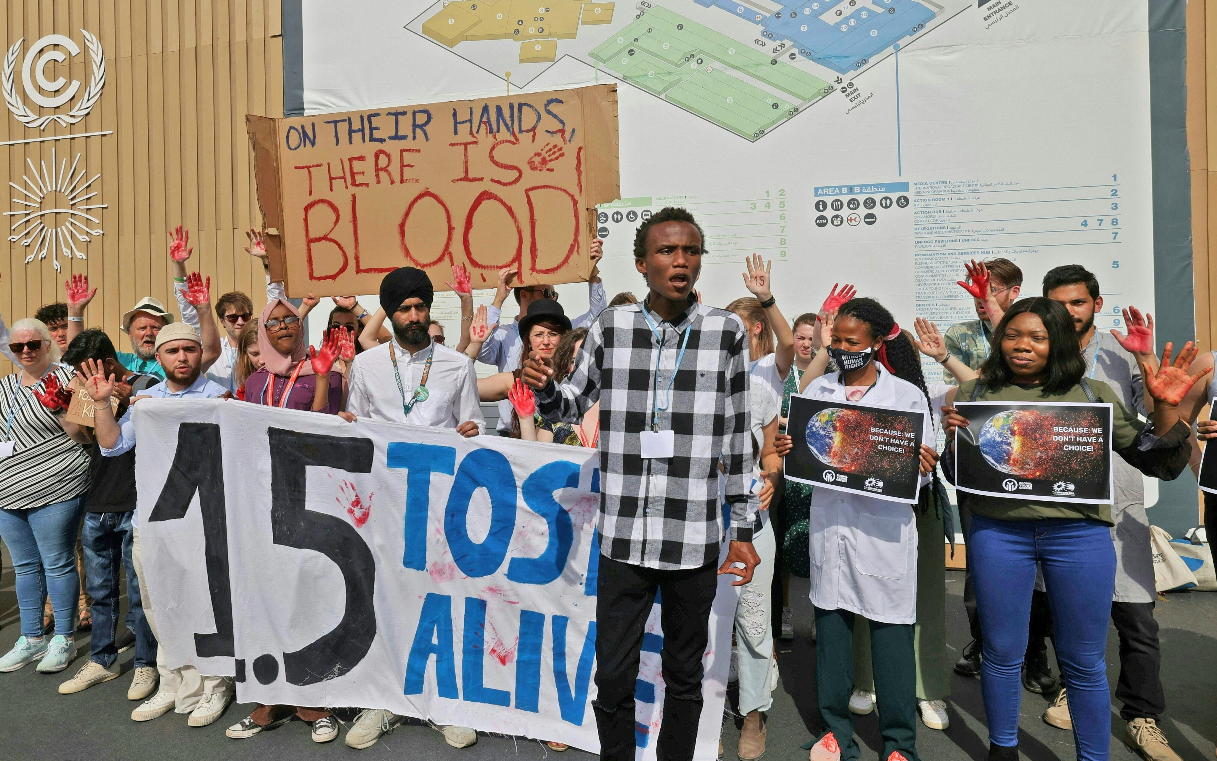 COP27 protest 