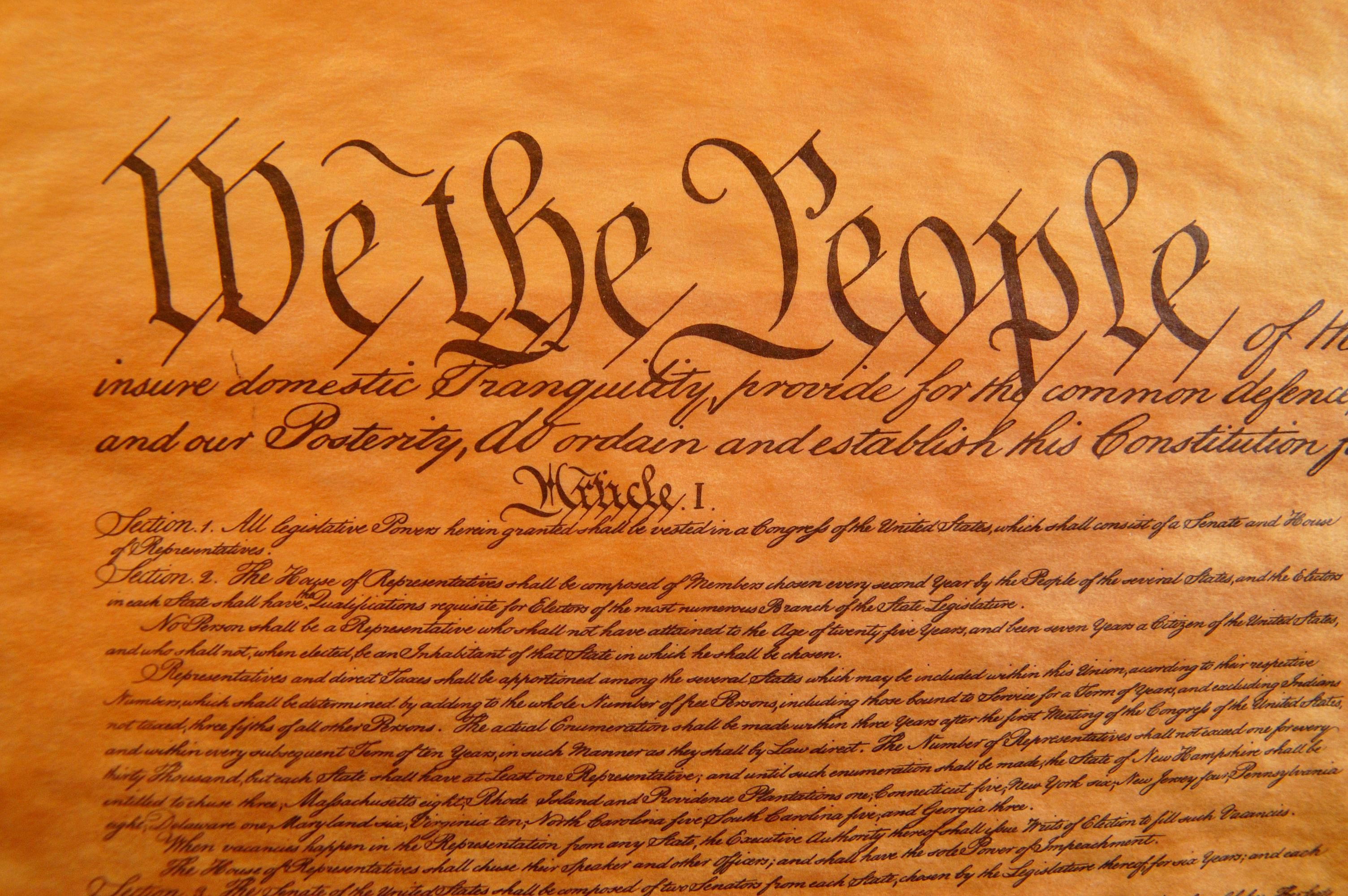 How the Constitutions Articles I VII Protect