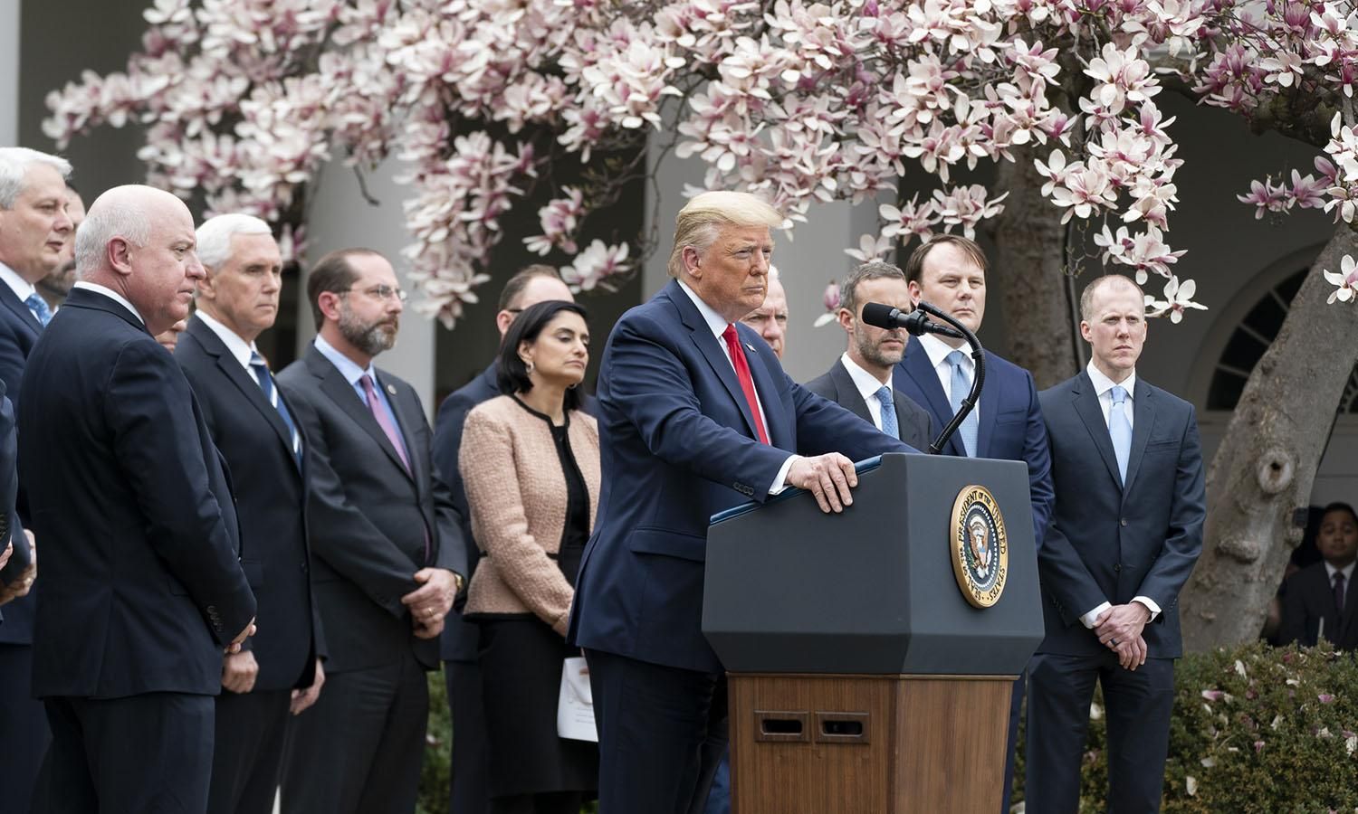 Coronavirus Pandemic Science Sidelined In Trump Rose Garden