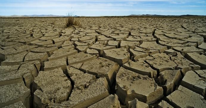 A World in Trouble: Drought, War, Food, Flight - Common Dreams